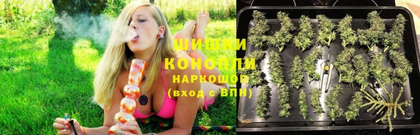 винт Ладушкин