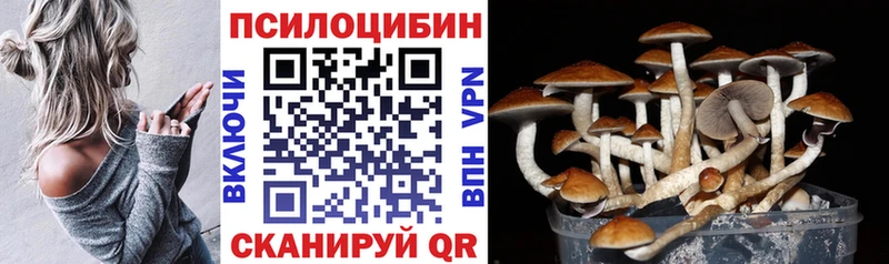 как найти   Шилка  Псилоцибиновые грибы GOLDEN TEACHER 